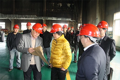 2012年1月31日，時(shí)任嘉興市委書記魯俊率領(lǐng)市發(fā)改委等市級部門負(fù)責(zé)人到公司調(diào)研
